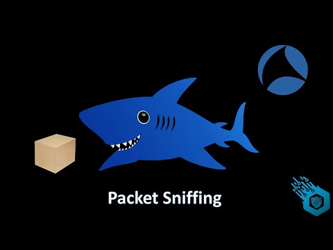 What are packet sniffers and how do they work?