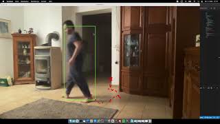 Python Computer Vision Pedestrian Detection