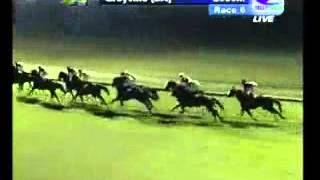 2012-02-21 Greyville - race 6