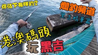 【爛釣頻道】港澳碼頭玩黒吉 真係得一個位食? 咁最後有咩釣到? 黑吉精華篇 中西海濱黑吉 中環碼頭黑吉 #黑吉 #釣魚 #香港釣魚