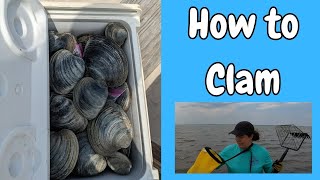 Clamming in Delaware: A Complete How-To Guide