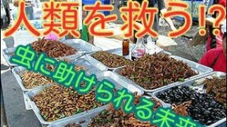 [閲覧注意]おいしい昆虫ランキング10選!!