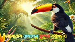 Amazons best kept secret is this stunning Toco Toucan/অ্যামাজন জঙ্গলের সুন্দর এই পাখি