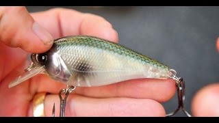 How To Fish The R2S Biggie Papa Crank!