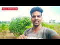 integrated farming part 2 ஒருங்கிணைந்த பண்ணை வடிவமைப்பு