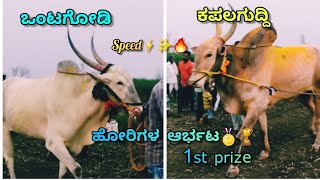 ಹುಣಸಿಕಟ್ಟಿ ಮೈದಾನ ವಿಜೇತ🥇🏆🚩.ಒಂಟಗೋಡಿ ರಾಜಾ ಮತ್ತು ಕಪಲಗುದ್ದಿ ಬುಲ್ಸ್🚩🥇✨【konnur terabandi bulls】● #terabandi