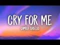 Download Camila Cabello Cry For Me mp3