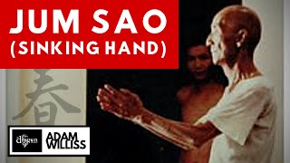 Jum Sao (Sinking Hand) - Wing Chun Technique Lesson for Beginners