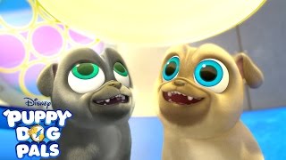 Going on a Mission | Music Video | Puppy Dog Pals | Disney Junior