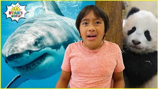 Learn about Sharks, Panda, and Penguins with Ryan! | Educational Animal Facts
