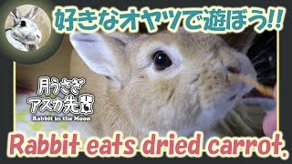 好きなオヤツで遊ぼう！！【ウサギのだいだい 】　2017年8月7日