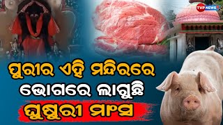 ପୁରୀ ର ଏହି ମନ୍ଦିର ରେ ଘୁଷୁରୀ ମାଂସ ଭକ୍ଷଣ କରନ୍ତି ଦେବୀ ମା ' l Spiritual l Maa l Spirituality l tvpnews9