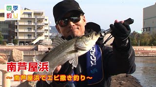 南芦屋浜でエビ撒き釣り　ハネ＆スズキを狙え!_四季の釣り/2020年5月1日放送分