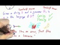 Time Flies - Programming Languages