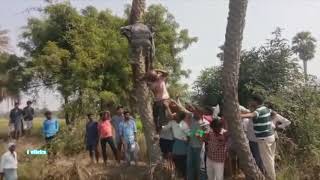 Village Drink Funny Videos / Kallu Kosam Kotlata / Telugu Funny Videos Latest