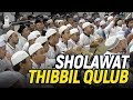 Sholawat Thibbil Qulub & Qosidah Yaa Maulid Al Musthofa