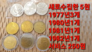 새식구 5원 수집 언박싱1977년.1980년.1981년.1982년