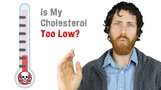 Are Vegan Cholesterol Levels Too Low?