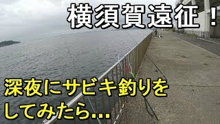 【うみかぜ公園】横須賀初遠征！魚種が豊富な海釣り公園で深夜のサビキ釣りで五目達成するも…【2019.06.02】