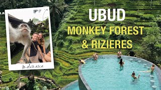 5 jours à Ubud - Monkey Forest & Rizières