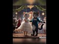 Cats are getting married #aicat #cat #catshorts #catlover #cats  #viral #shorts #rdxvoice