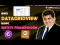 Bind DataGridView using Entity Framework C#