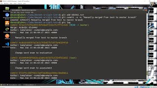 3.3.11 Lab - Software Version Control with Git