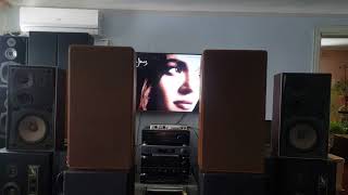 Siemens RL 164 \u0026 denon pma 1080r test