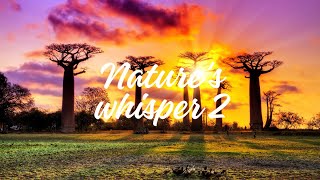 Joyful Moments - Nature's whisper 2 - 432 Hz relaxing music deep relax