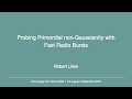 Robert Lilow | Probing Primordial Non-Gaussianity with Fast Radio Bursts