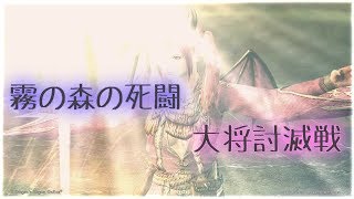 【DDON】WM 霧の森の死闘 大将討滅戦 プリースト視点