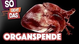 Organspende (Alles was man wissen muss)