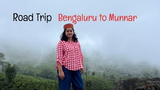 Road trip Bengaluru to Munnar @simscorner