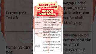 3 fakta menarik kolon (usus besar) #youtubeshorts #faktamenarik #kolon #subscribe