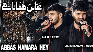 abbas hamara hai alamdar hamara | nadeem sarwar live karachi 2022 | shanawar ali jee live noha 2022