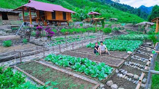 LIVING Sustainably OFF The Grid! Growing Clean Vegetable Farms, Aquaculture, Harvesting, Cooking