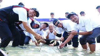 Lestarikan Terumbu Karang, Badak LNG Tebar Bibit di Pulau Segajah