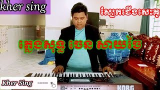 ស្បែកជើងសេះគូ # ភ្លេងសុទ្ធ ចេន សាយចៃ | karaoke Khmer song ( kher sing