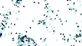 Fish Flocking Behavior
