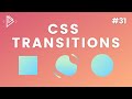 #31 CSS Transition Tutorial - CSS Full Tutorial