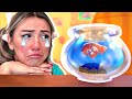 I Lost My Pet & MORE Kids Songs | Bumble Bree