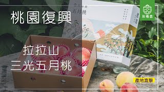 是五月桃更是部落的希望－桃園三光合作社【產地直擊】