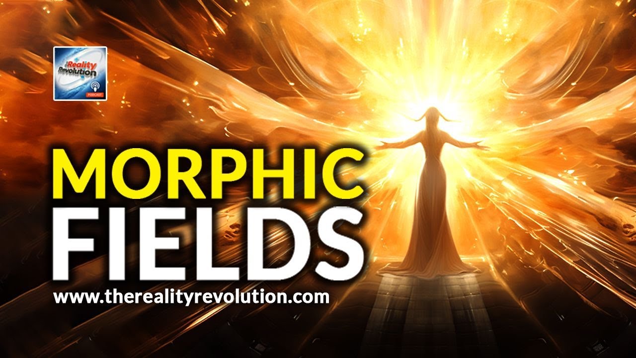 Morphic Fields Youtube