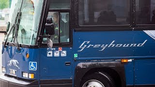 Greyhound cancels bus service in most of western Canada