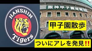 【甲子園散歩】ついにアレを発見！シーズンオフ甲子園球場の変化🏟 22.12.28.  阪神甲子園球場