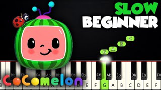Cocomelon Theme | SLOW BEGINNER PIANO TUTORIAL + SHEET MUSIC by Betacustic