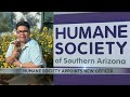 humane society of southern arizona finishes filling executive positions after controversial small