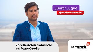 Diferentes tipos de zonificación en MacrOpolis