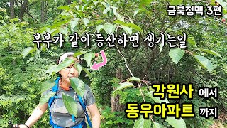 금북정맥 트레킹 3편 마나님과 함께 각원사에서 동우아파트까지 등산했습니다