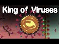 Molecular Animation of  SARS CoV-2, Host-Virus interactions.